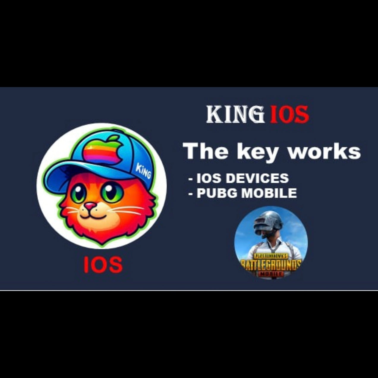 King iOS PUBG