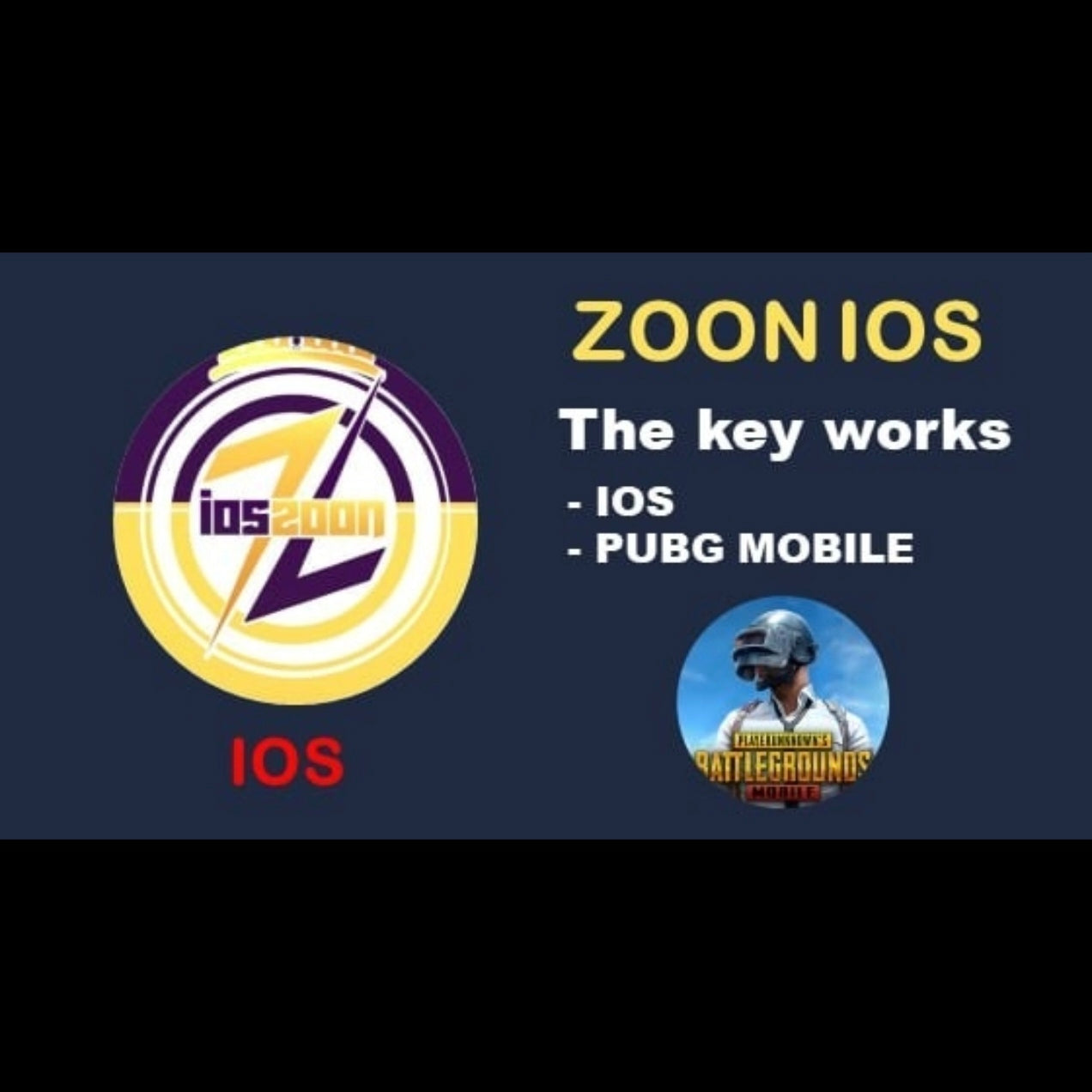 Zoon iOS PUBG