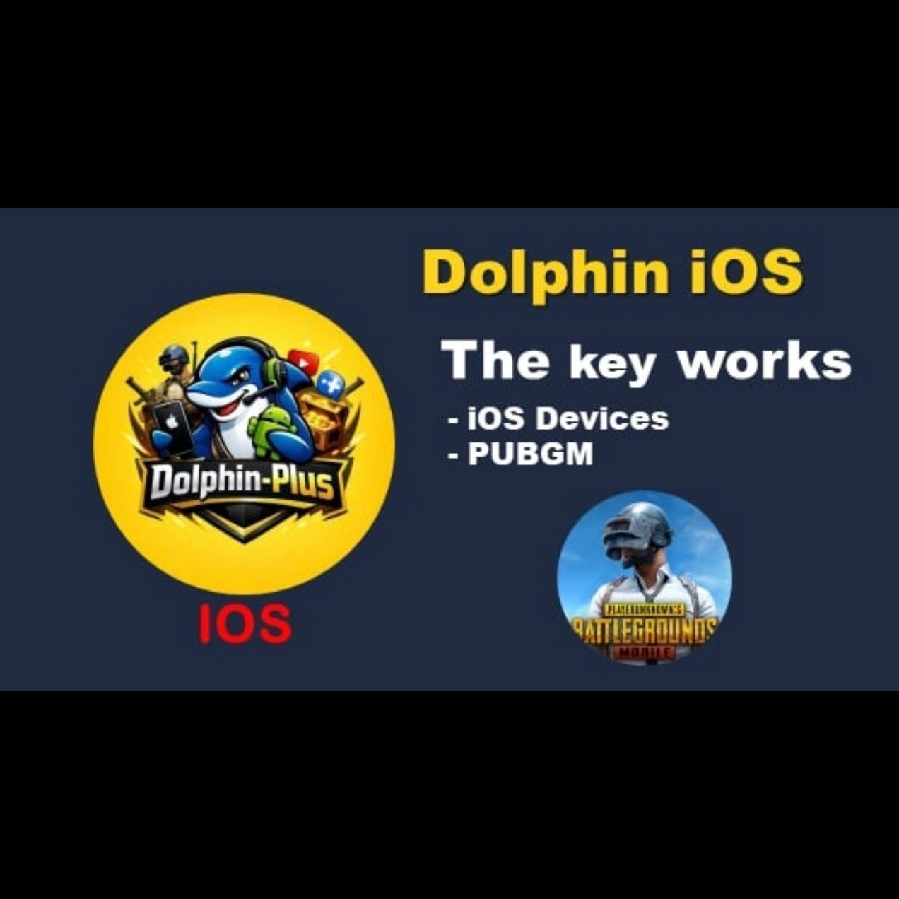 Dolphin iOS PUBG