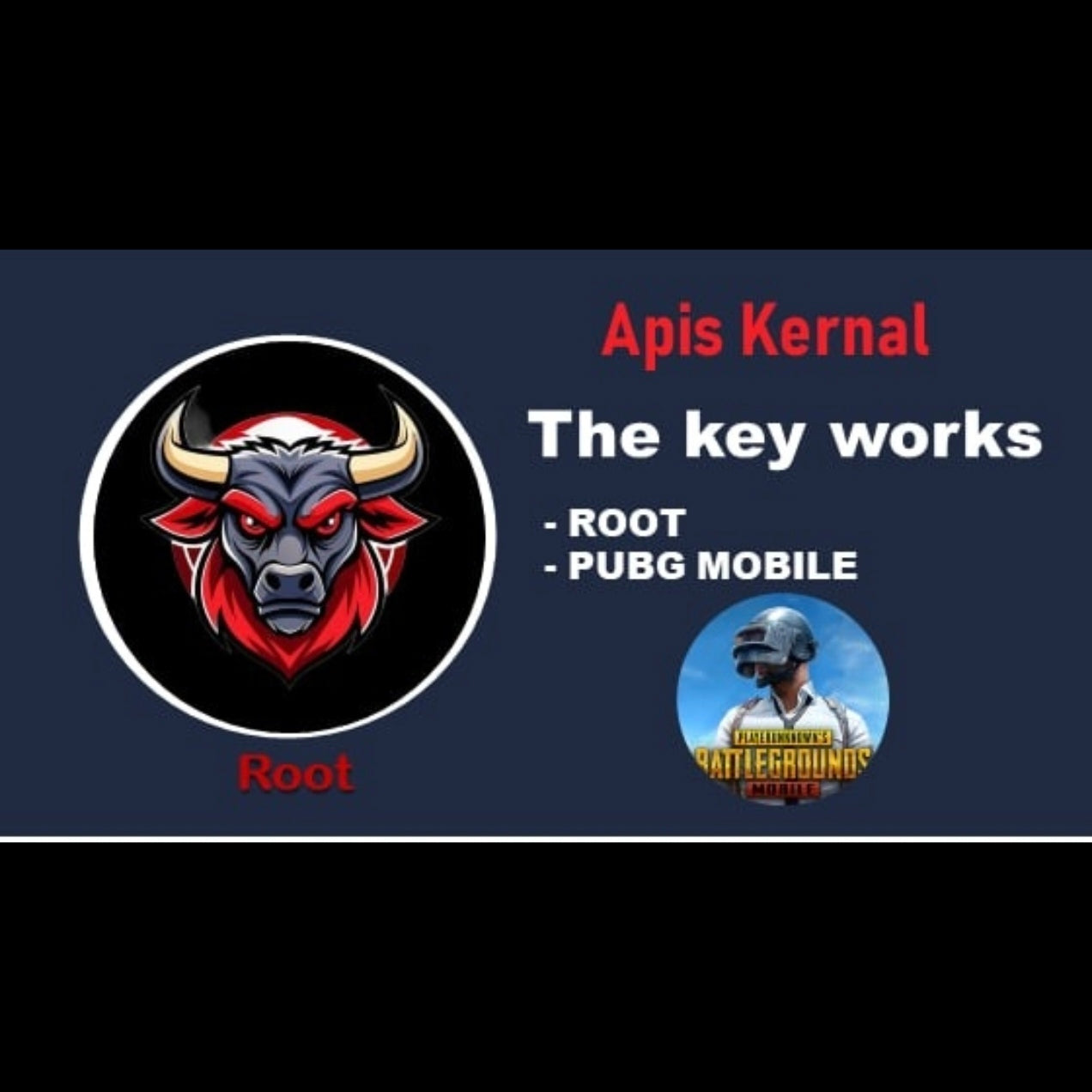 Apis Kernal PUBG Root